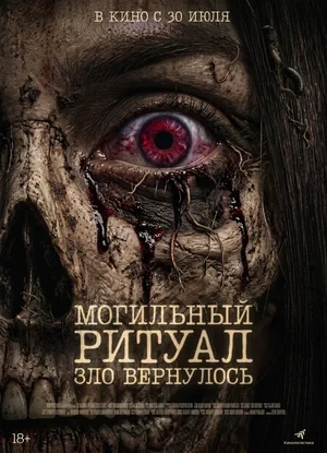 Сведения об участниках