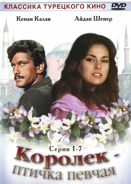 Томрис Огузалп
