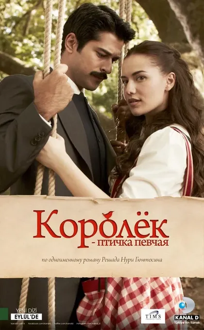 Несли Йильмаз
