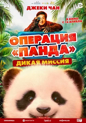 Сведения об участниках